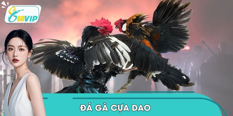 da-ga-cua-dao-1