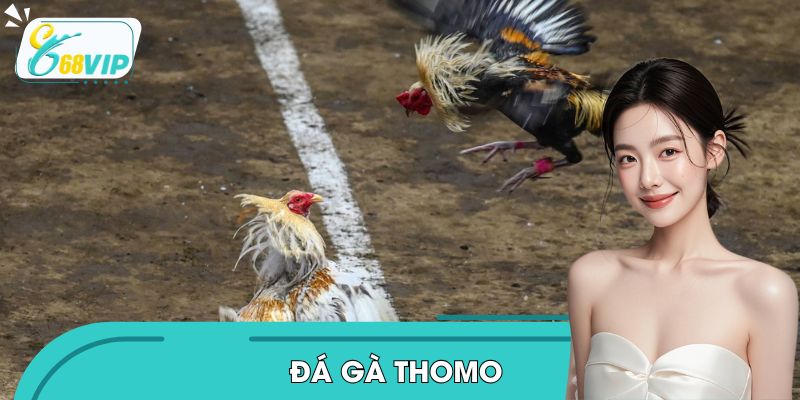 da-ga-thomo-1